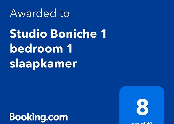 Studio Boniche 1 bedroom 1 slaapkamer