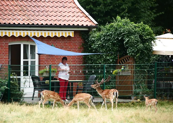 Ferienhaus Zur Alten Fähre