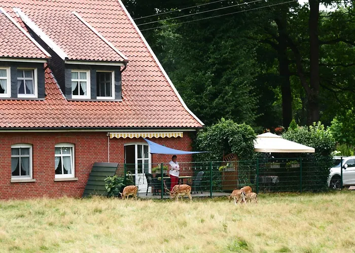 Ferienhaus Zur Alten Fähre