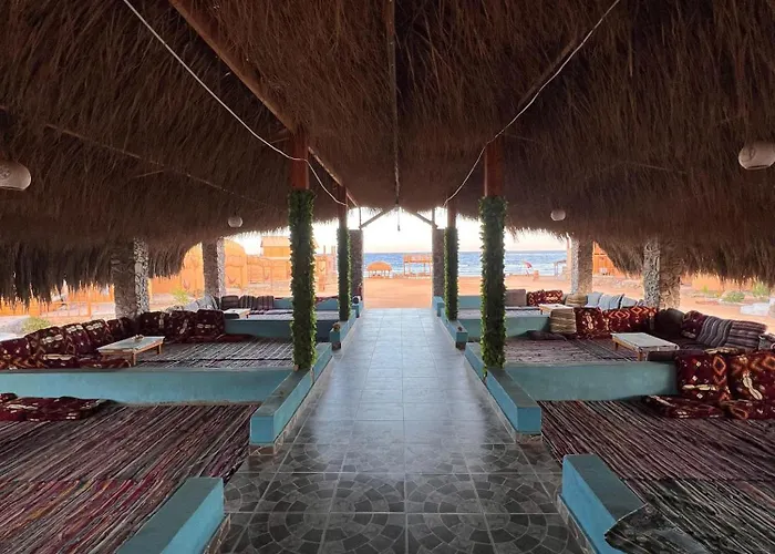 Full Moon Camp Sinai