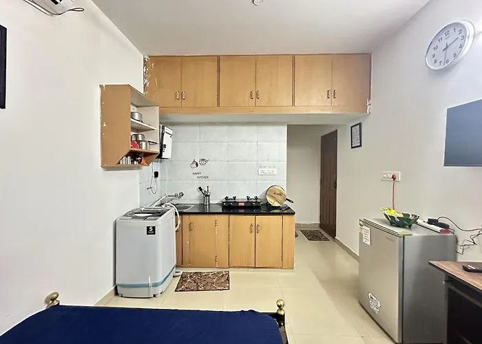 Beautiful Studio Near Jp Nagar And Iimb 209A