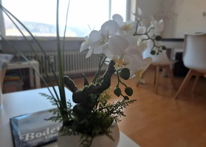 Seestudio mit toller Aussicht am Bodensee