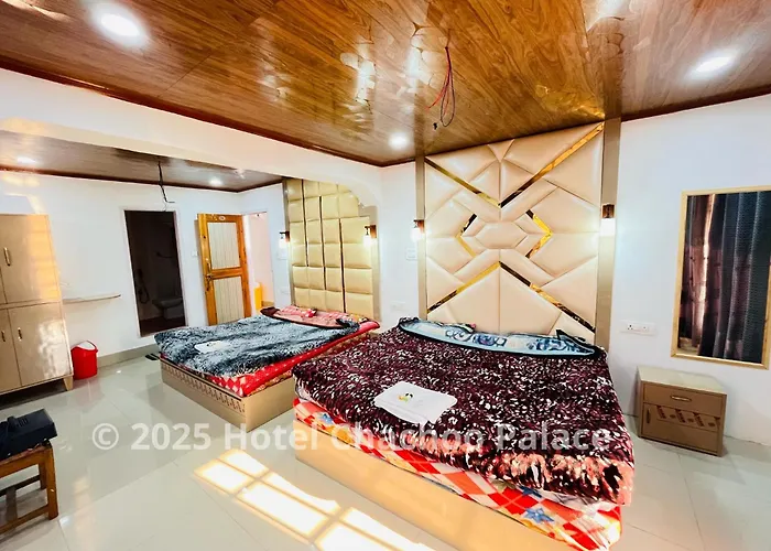 Hotel Chachoo Palace