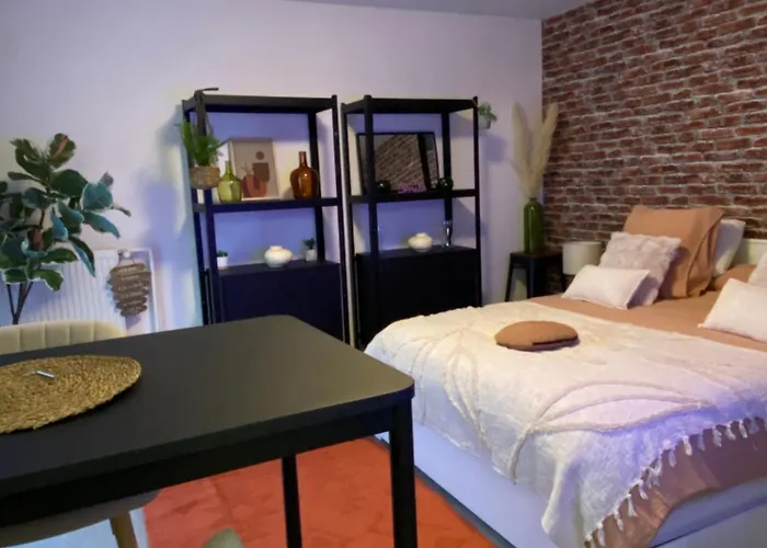 Studio Douillet Tout Confort 3 - Wifi - Parking Gratuit
