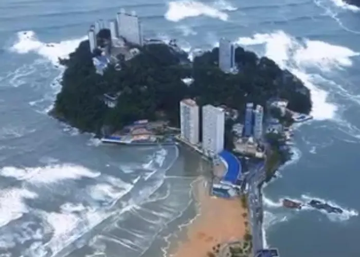 Kitnet Gonzaguinha