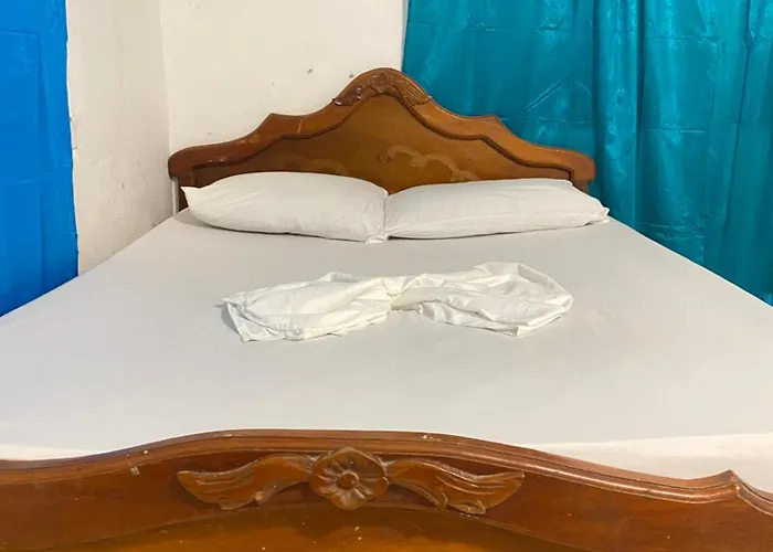 Casa Jungla