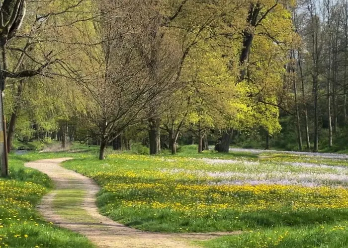 Pałac Łomnica Karkonosze - Schloss Lomnitz Riesengebirge