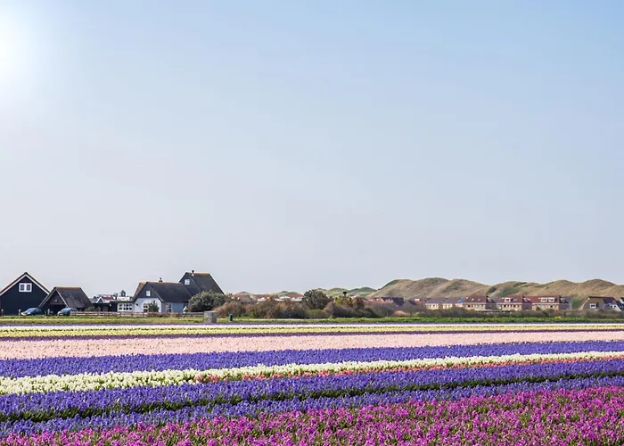 Appartement Celina - Residence Juliana Julianadorp Aan Zee