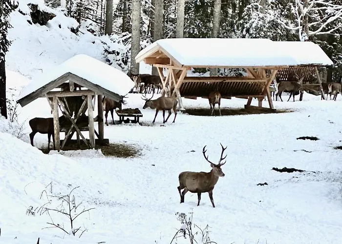 AlpenOase Schliersee - große Suite mit Sauna oder gemütliche Studio Appartements