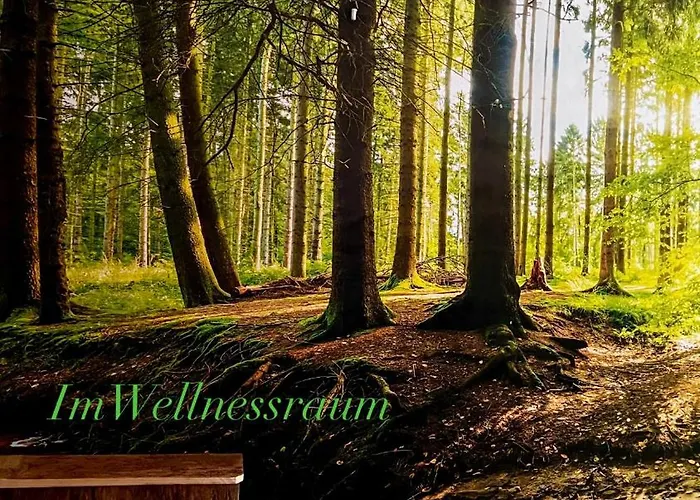 Apartment Cats Forest