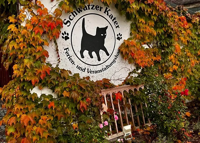 Suite Schwarzer Kater