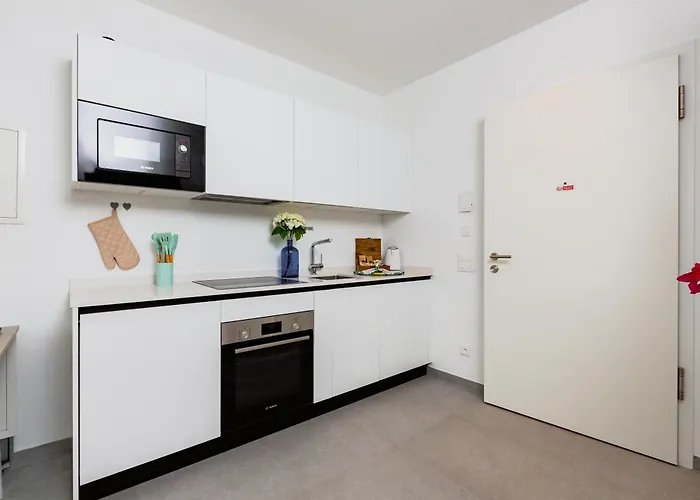 Campus Lugano 45 Wonderful Smart Suites In The University Area
