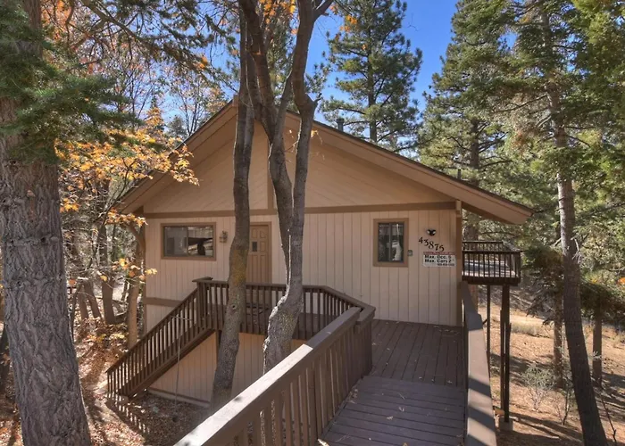 Everwood Serenity Treehouse On Sledding Hill