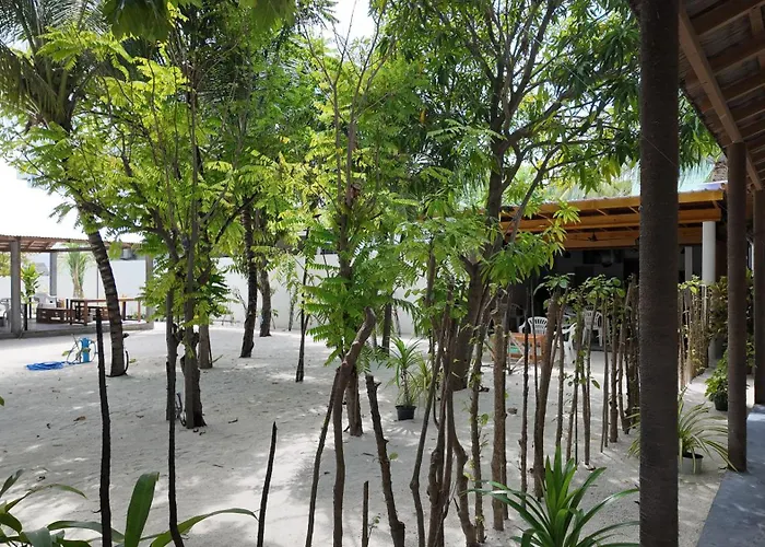 Navaya Dhiffushi