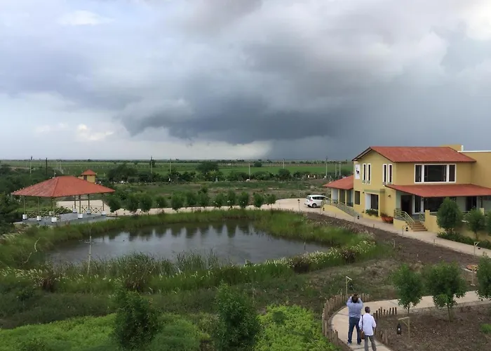 Blackbuck Safari Lodge Velavadar