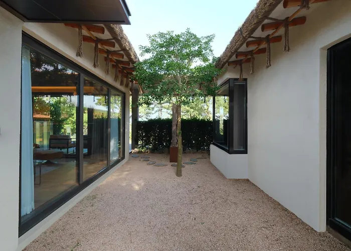 Amber Pure Hill Hotels & Resorts Jeju