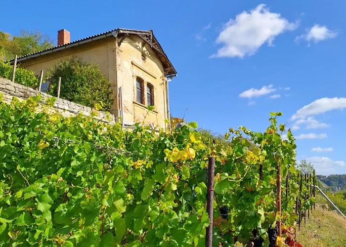 Ferienhaus und Straußwirtschaft im Weinberg