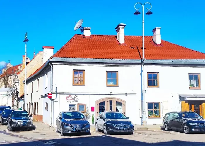 Prime Location Apartment Vilnius