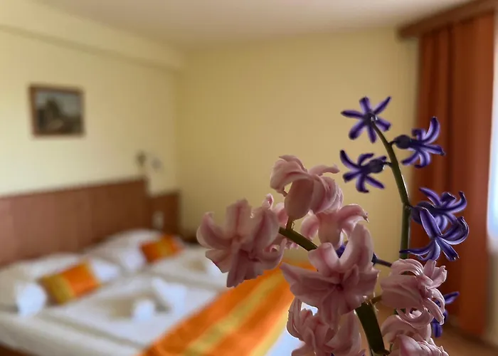 Aqua Therm Villa - Hotel Zalakaros