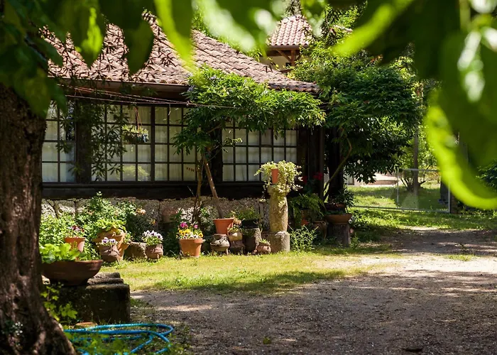 Chalé da Quinta Lavoura da Bouça - Fruta Bio
