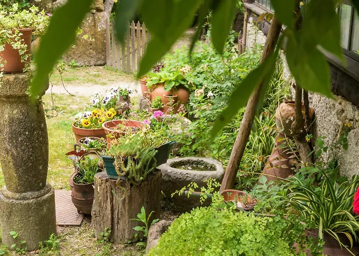 Chalé da Quinta Lavoura da Bouça - Fruta Bio