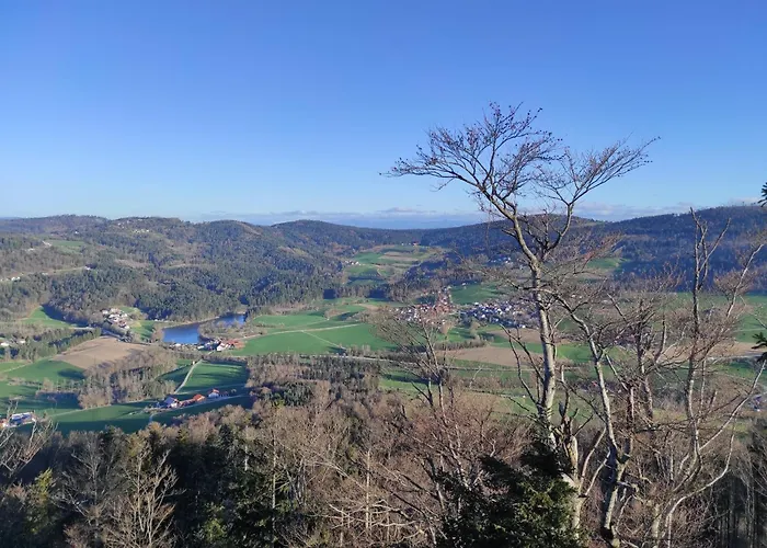 BayernWald 201 Ferienwohnung mit Pool und Sauna