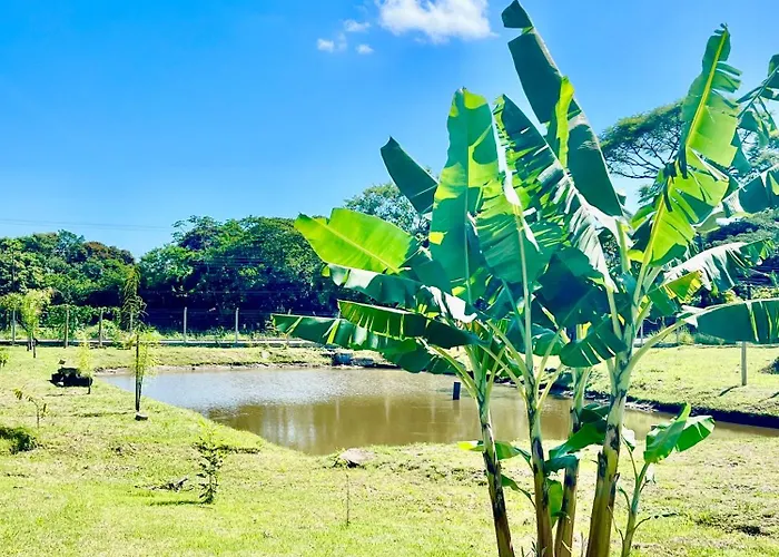 Suíte Recanto Monte Trigo