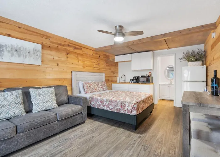 Studio Condo On Table Rock Lake W Access & Views-Free Tickets-