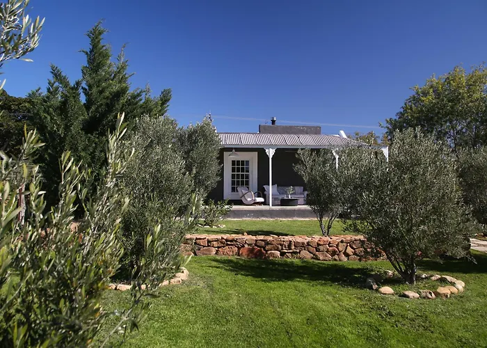 Olive Grove House