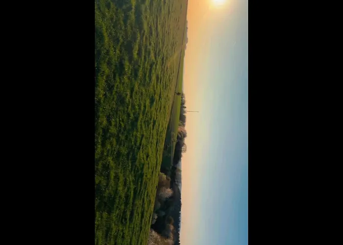 Pure Living