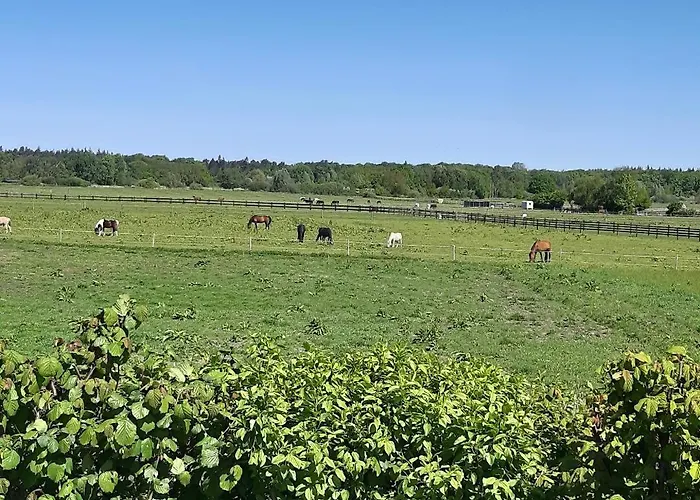 Wiesenblick