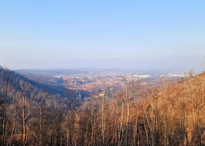 Ferienwohnung Schwarzer Hirsch