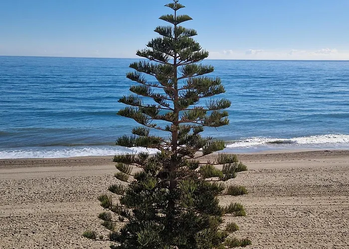 Atico Frente Al Mar, Un Dormitorio "Cielo Azul" Penthouse Facing The Sea, One Bedroom, "Blue Sky"
