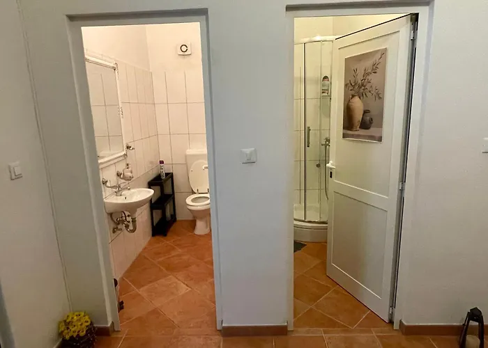 Spacious Apartment
