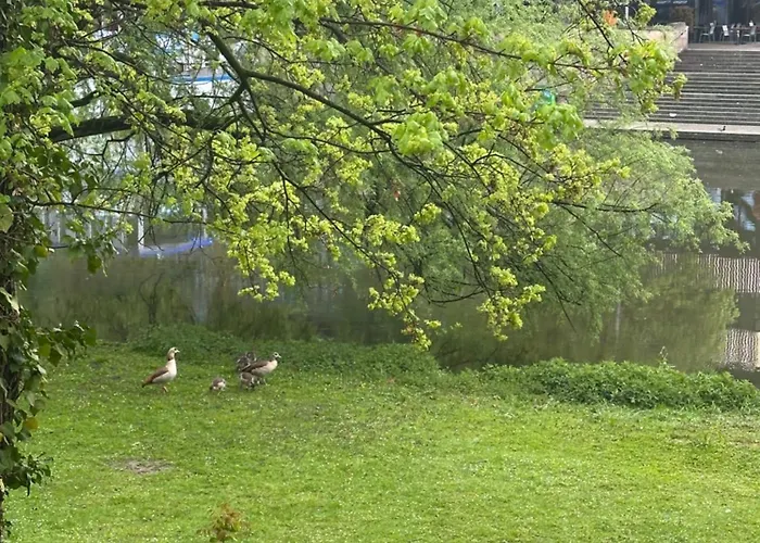 Wohnung am Neckar mit Tiefgarage