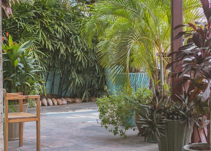 Hotel Palma Royale