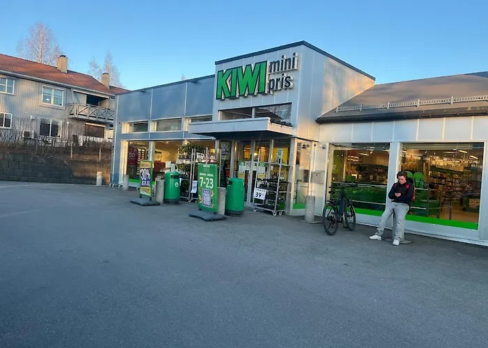 Leilighet I Lillehammer Med Gratis Parkering
