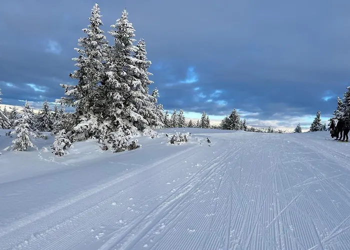 Leilighet I Lillehammer Med Gratis Parkering