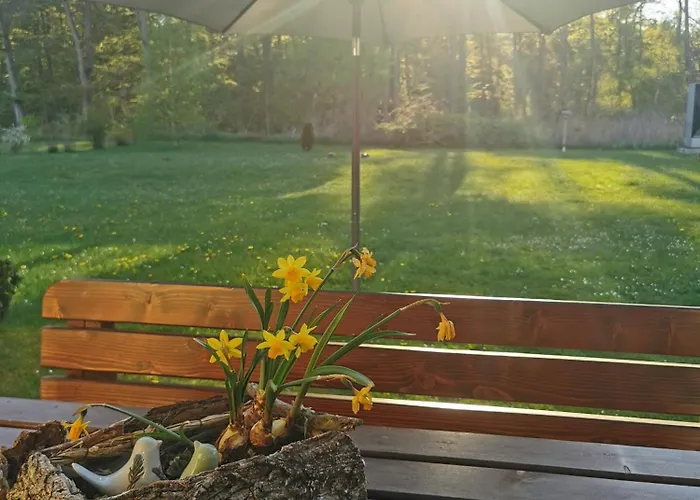 Fewo Ostseeparadies Waldblick