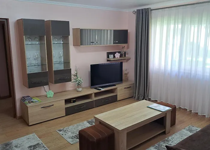 Cool Apartment Radauti