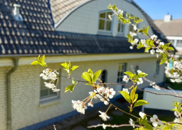 Sellin Ferienwohnung Maritim