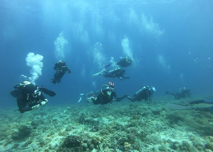 Zhang Resort And Dragon J1 Dive Center Malapascua