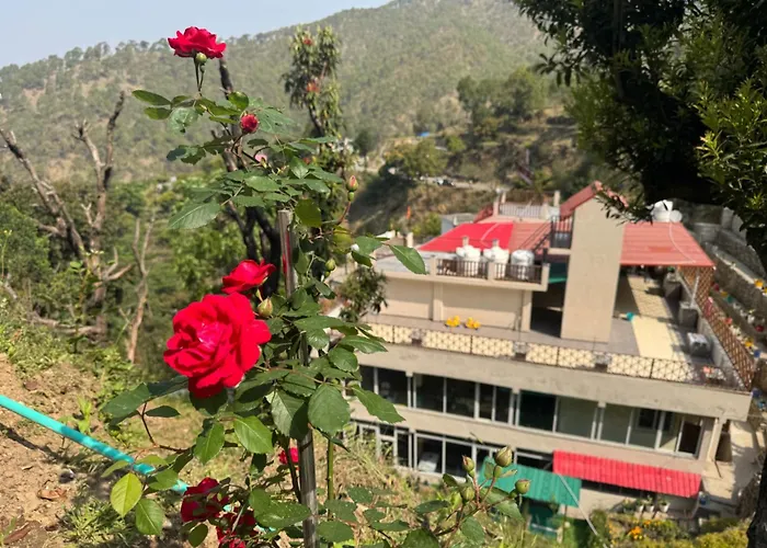 Hillcrest Valley Ranikhet