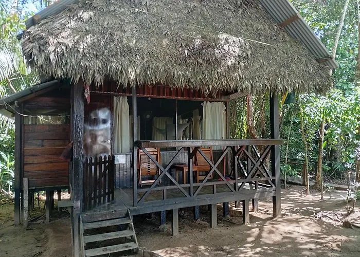 Lodge Parayso -Tambopata