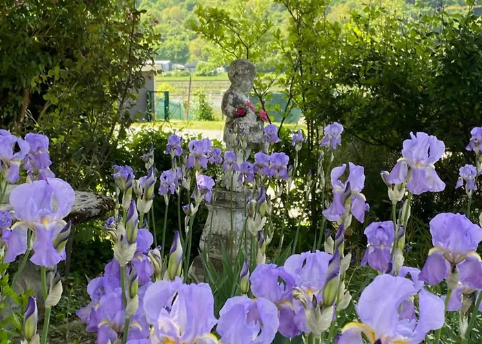 Villa Evin