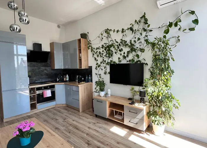 Apartament Green Loft Centrum