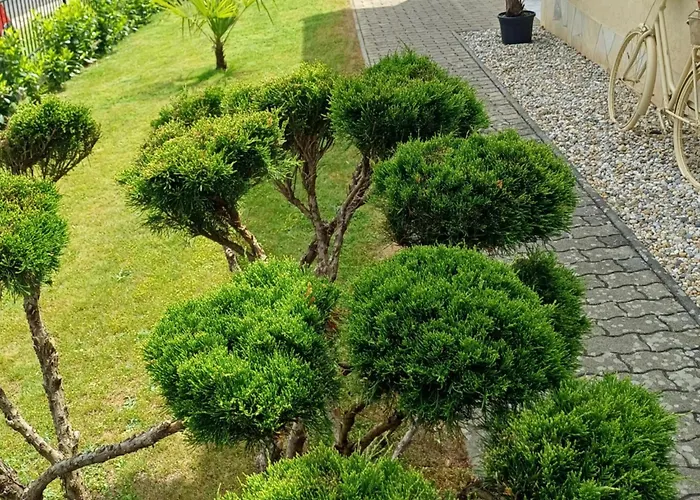Mediterran Apartman