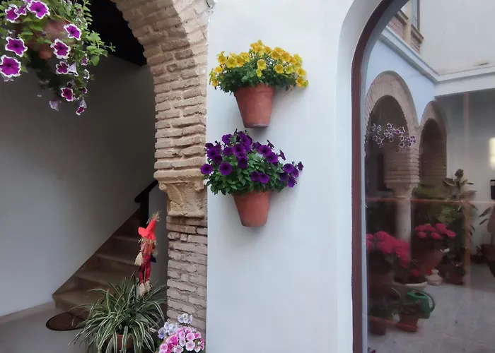 El Patio De Regina
