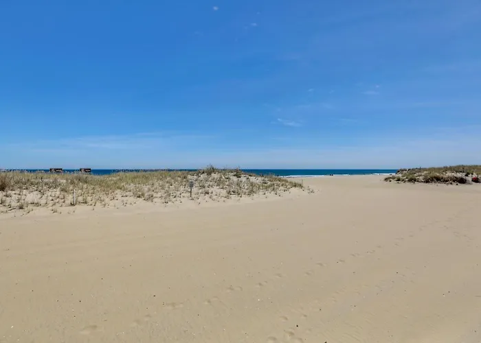 Walk To Beach & Dtwn: Apt In Ocean Grove