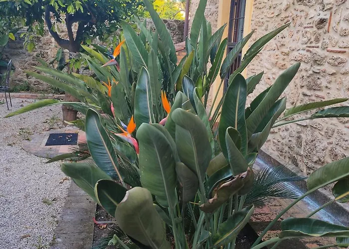Il Giardino Di Athena 1
